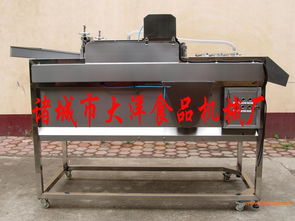 果蔬清洗去雜機,果蔬清洗去雜機生產(chǎn)廠家,果蔬清洗去雜機價格