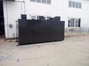 高效潔凈，守護環境 地埋式豆類加工污水處理與洗滌設備解決方案